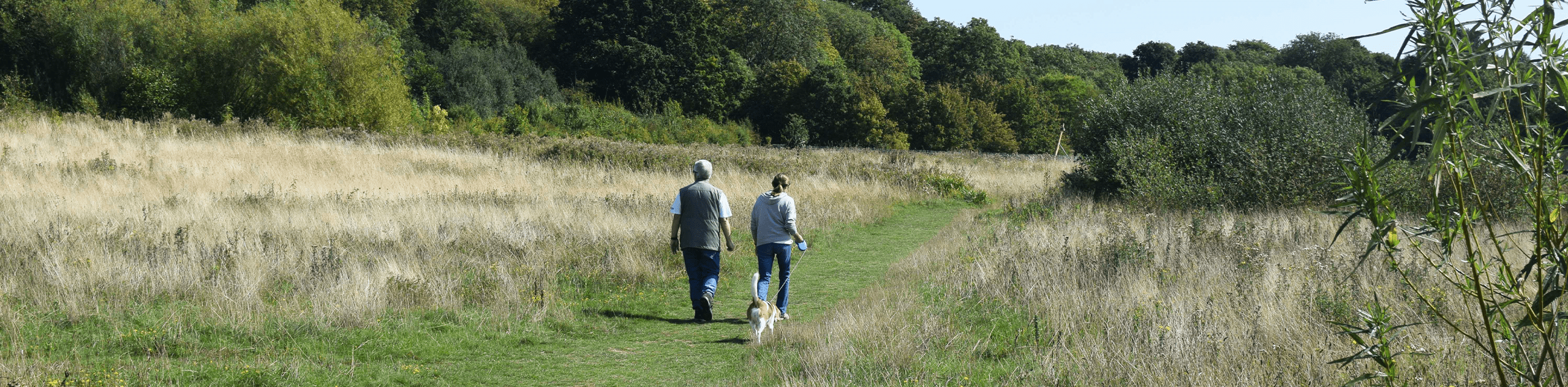 A photograph of people walking through grassland in a country park setting. © BMD