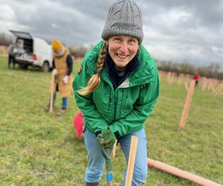 A photograph of a BMD employee planting trees in a field