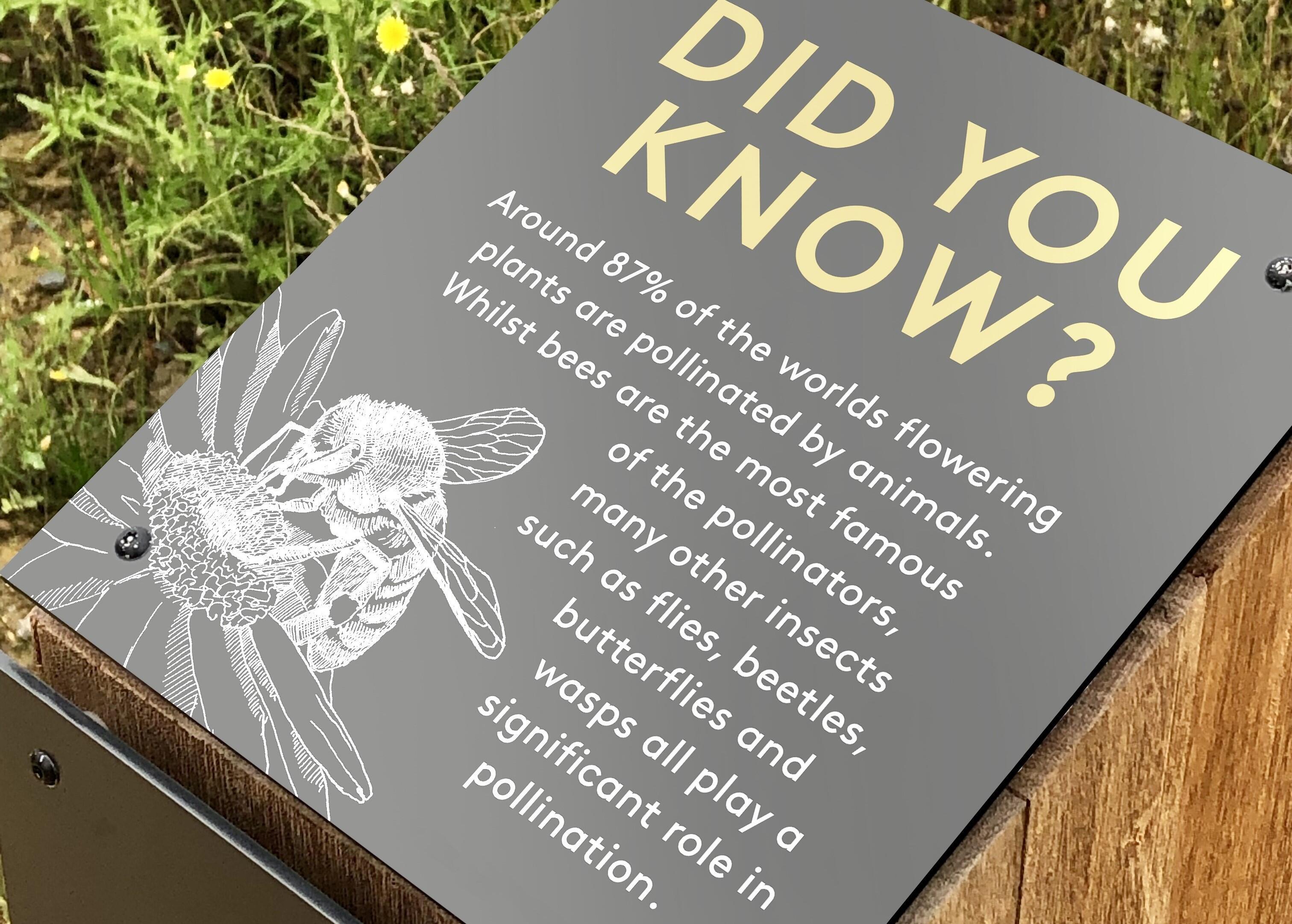 A sign at Houlton saying 'did you know?' followed by 'Around 87% of the worlds flowering plants are pollinated by animals. Whilst bees are the most famous of the pollinators, many other insects such as flies, beetles and butterflies help' 