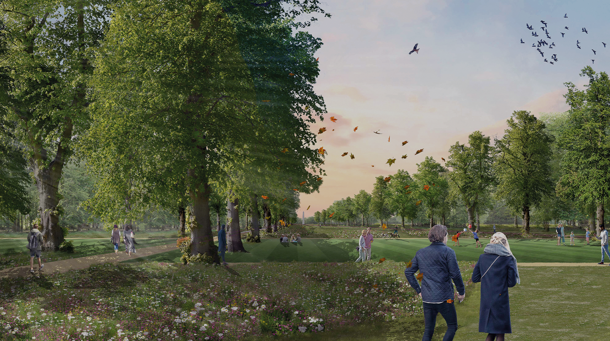 A photomontage of the Ride parkland at Abbey Barn. A historic park lined with mature avenue trees, meadow grass and a large expanse of open recreational space.