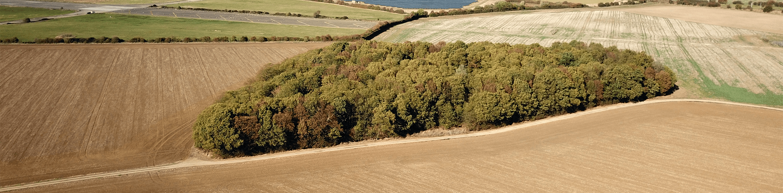 An aerial photograph of Prestley Wood at Grange Farm. © BMD