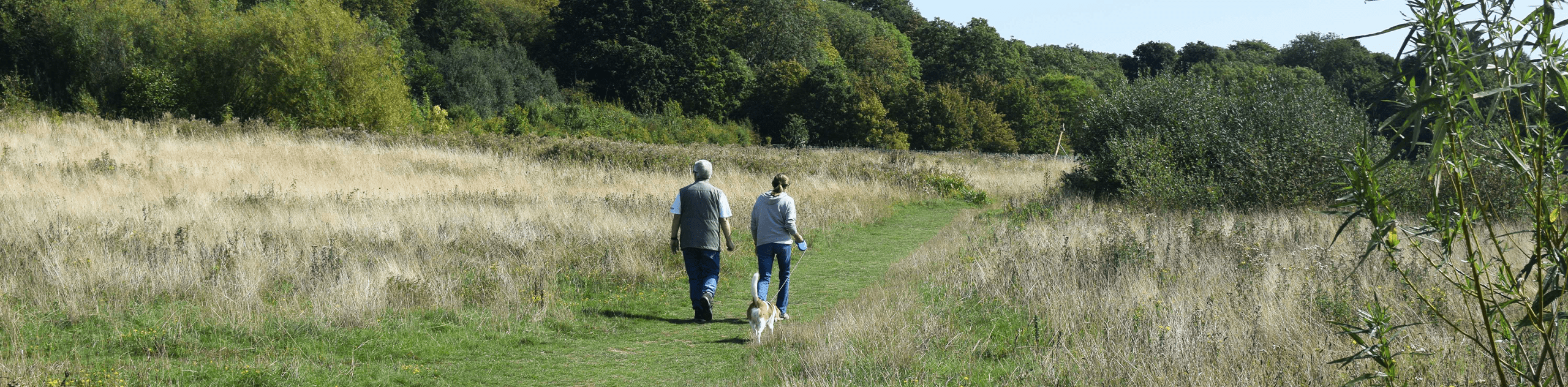 A photograph of people walking through grassland in a country park setting. © BMD A photograph of people walking through grassland in a country park setting. © BMD