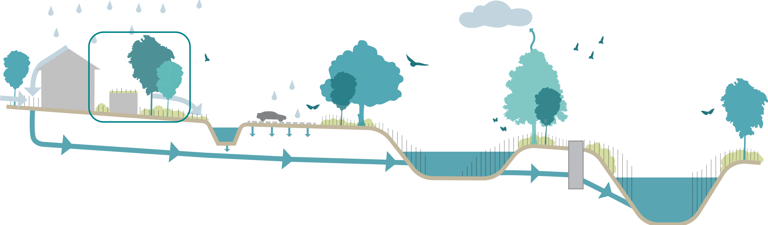 An illustrated section of the water cycle through proposed SuDS features at Thornhill Park. © BMD