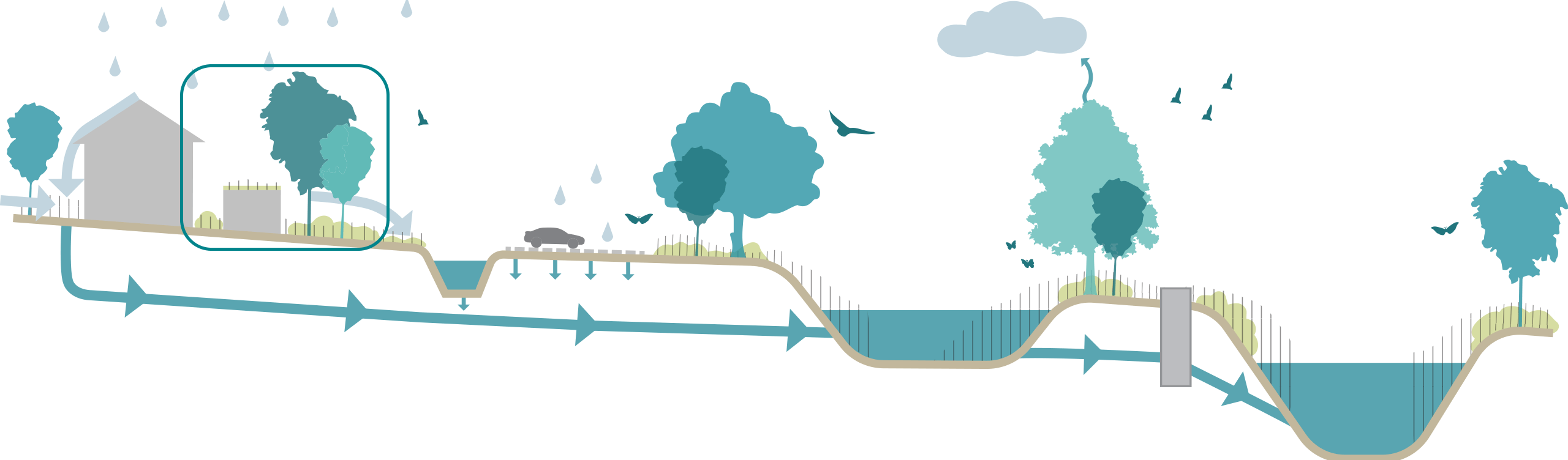 An illustrated section of the water cycle through proposed SuDS features at Thornhill Park. © BMD An illustrated section of the water cycle through proposed SuDS features at Thornhill Park. © BMD