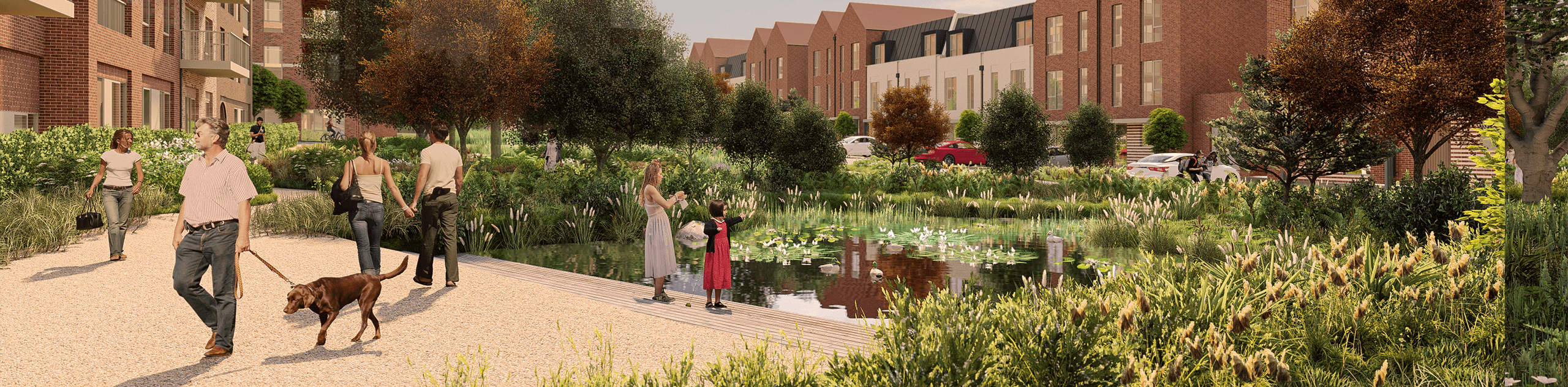 A CGI render of the proposed SuDS pond with a boardwalk platform and wetland planting. © JTP