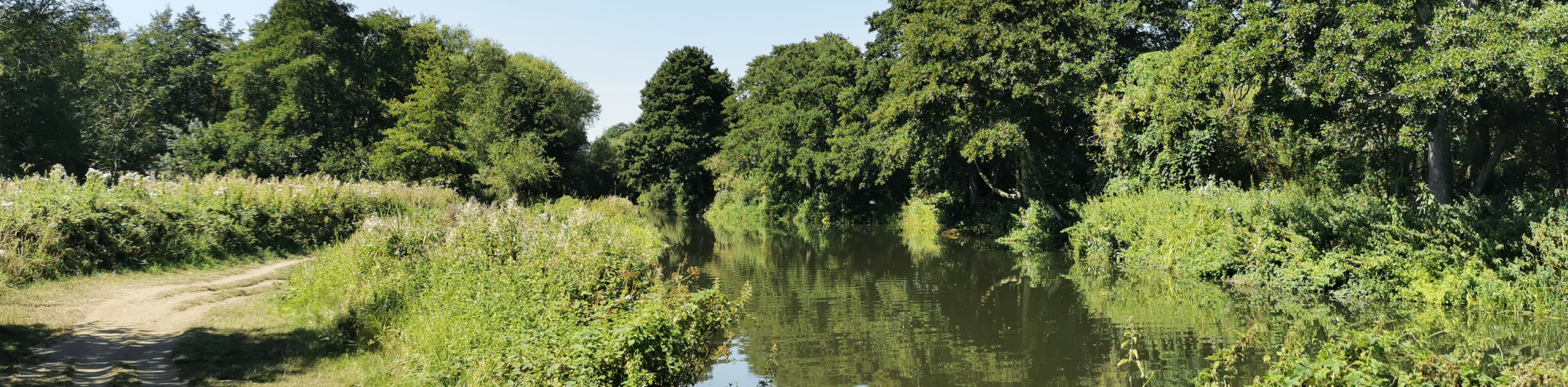 A photograph of the public footpath and existing vegetation along the river Wey. © BMD