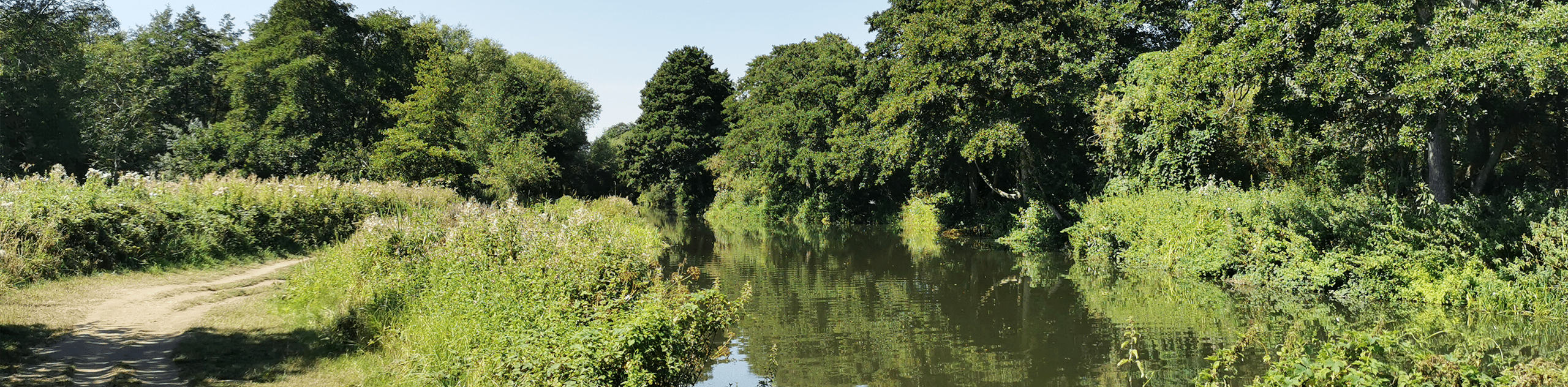 A photograph of the public footpath and existing vegetation along the river Wey. © BMD A photograph of the public footpath and existing vegetation along the river Wey. © BMD