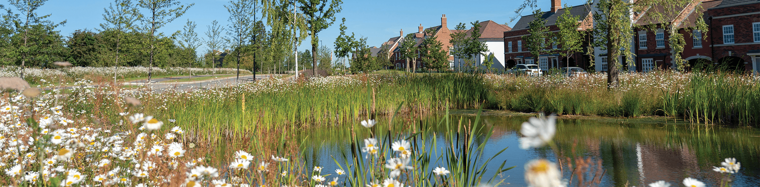 A photograph of the wildlife ponds overlooked by housing at the Houlton entrance. © BMD