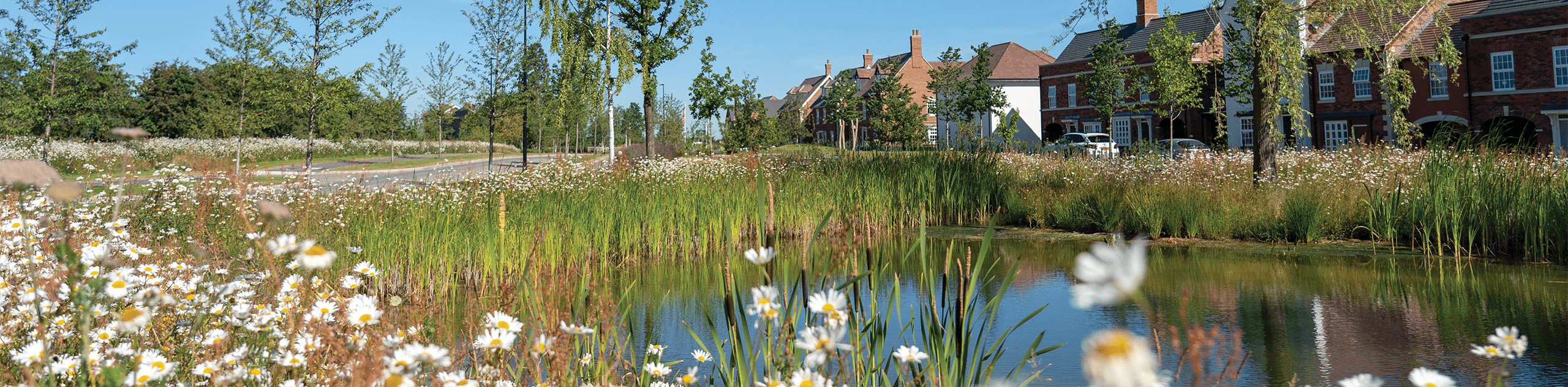 A photograph of the wildlife ponds overlooked by housing at the Houlton entrance. © BMD A photograph of the wildlife ponds overlooked by housing at the Houlton entrance. © BMD