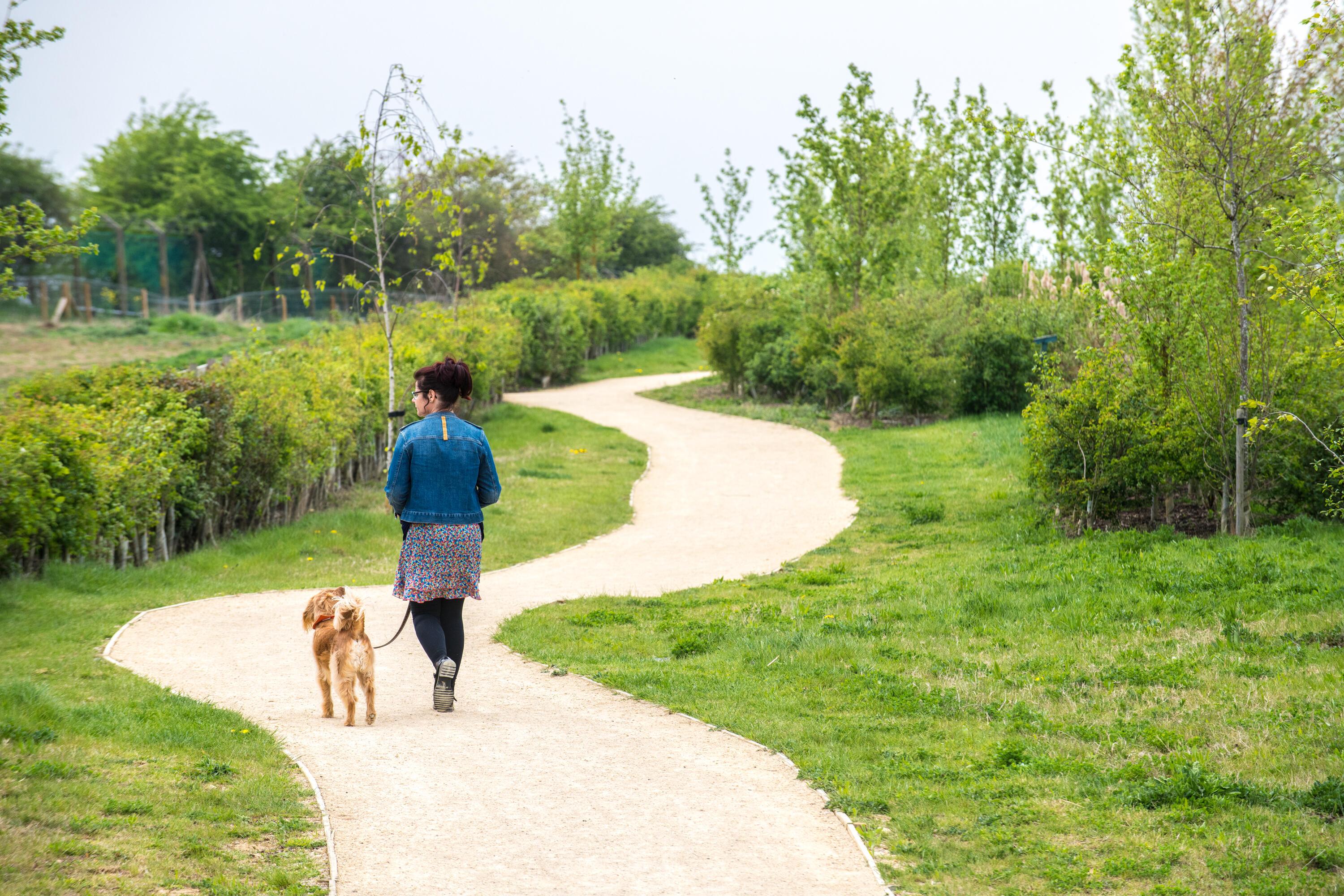 A photograph of a woman walking her dog through a wildlife corridor with shrubs and trees.