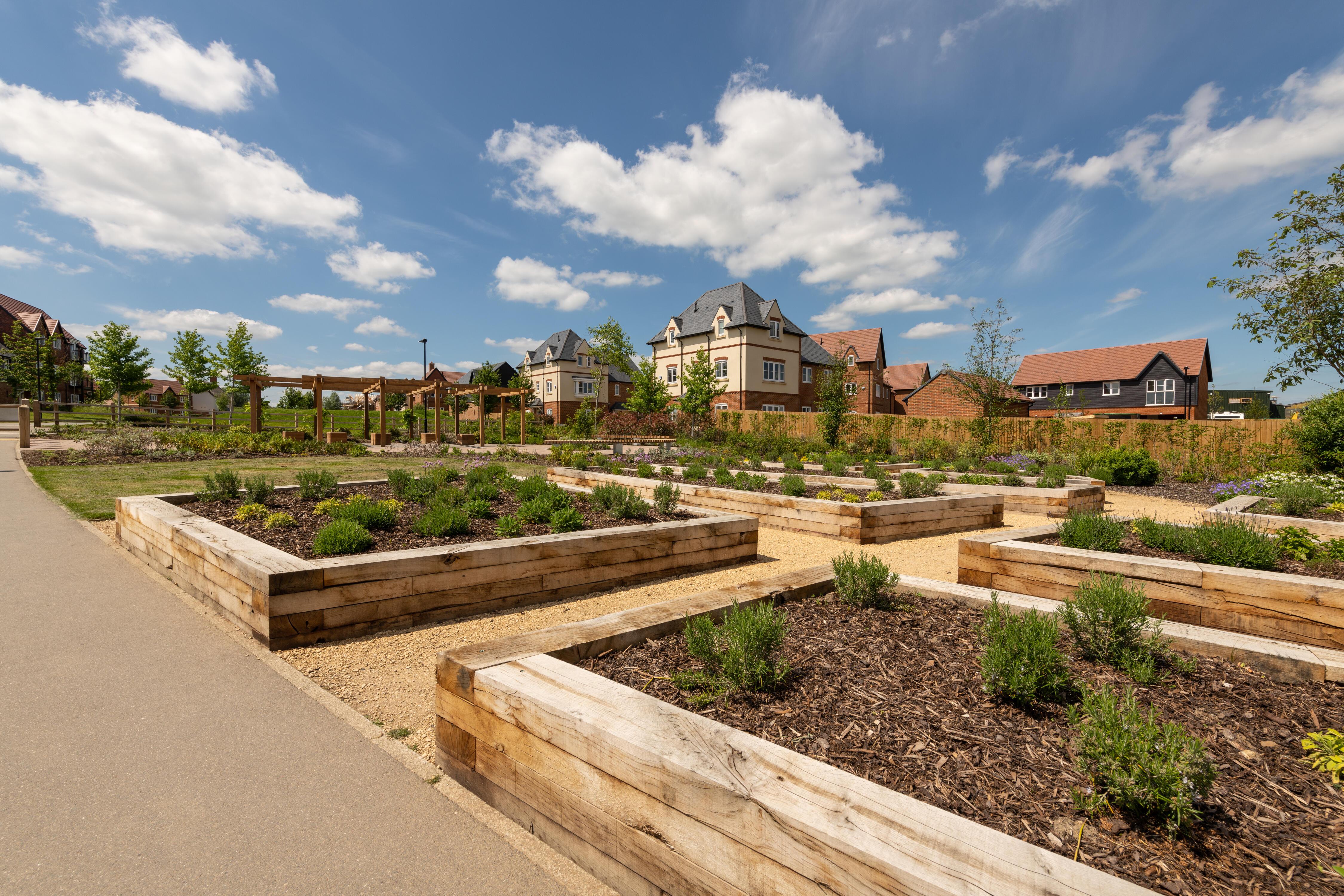A close up photograph of the community growing space within Woodhurst Park.  © BMD