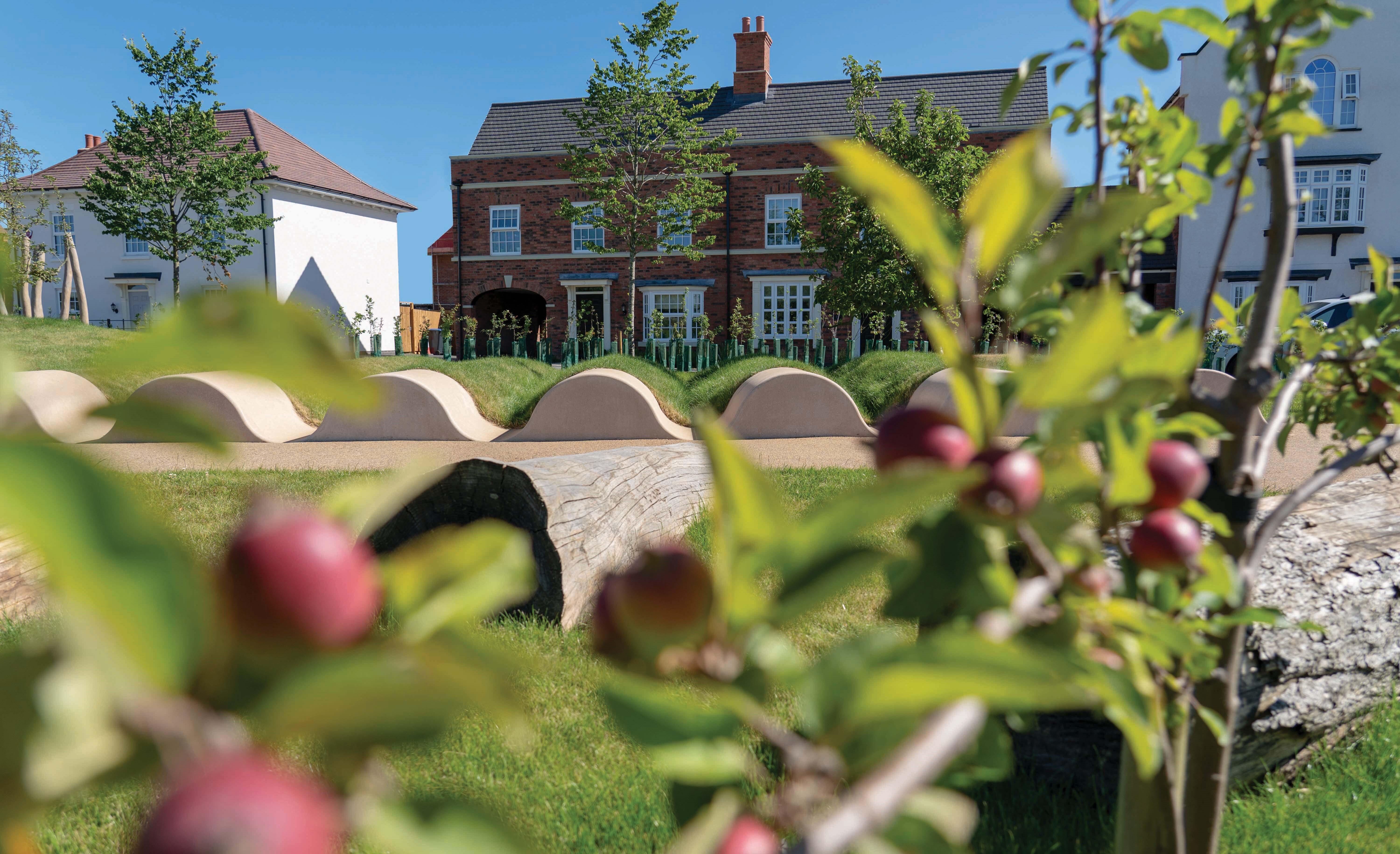 A close up photograph of fruiting trees alongside the play on the way landscape. ©BMD