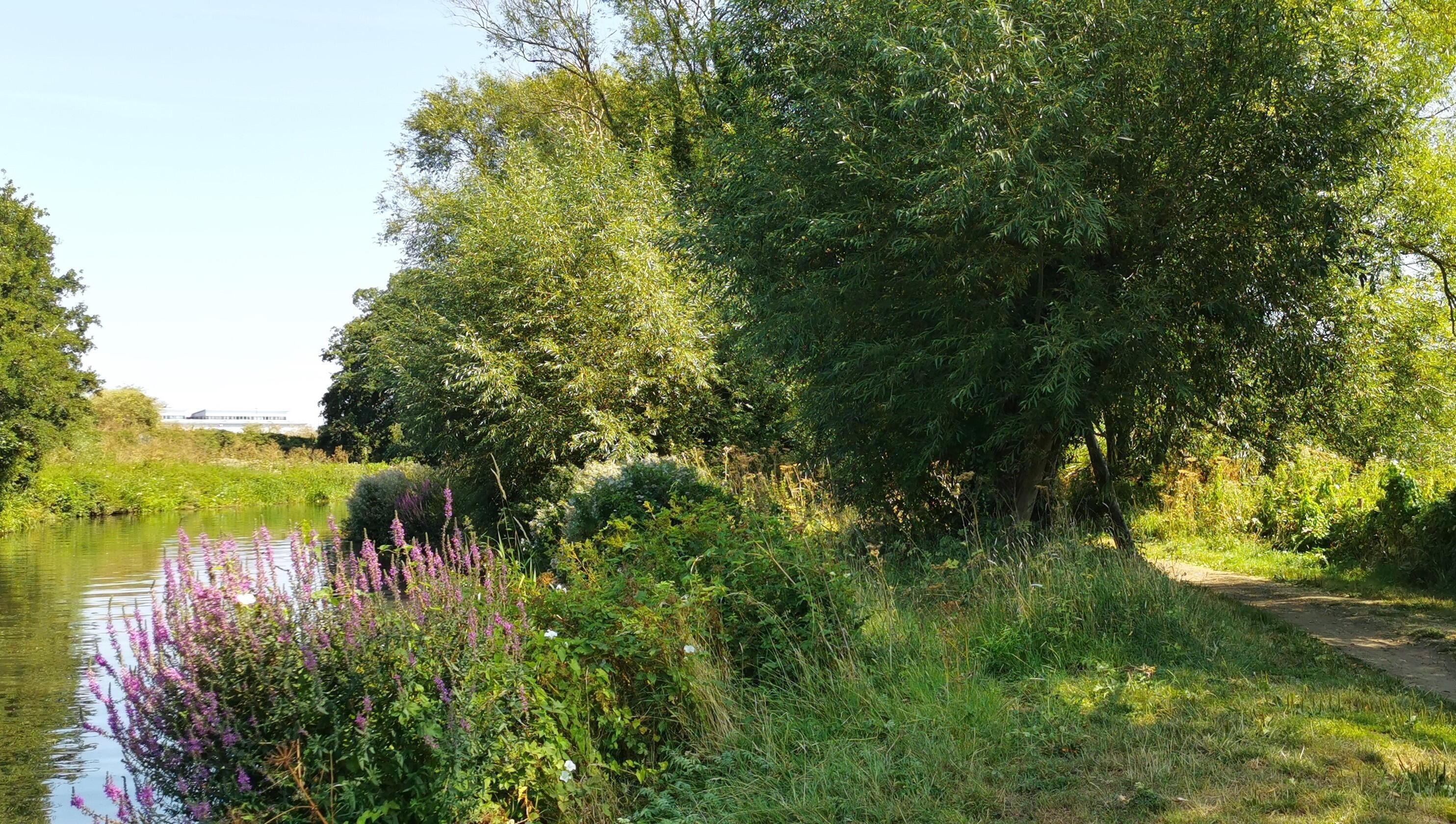 A photograph of the public footpath alongside the river Wey. © BMD