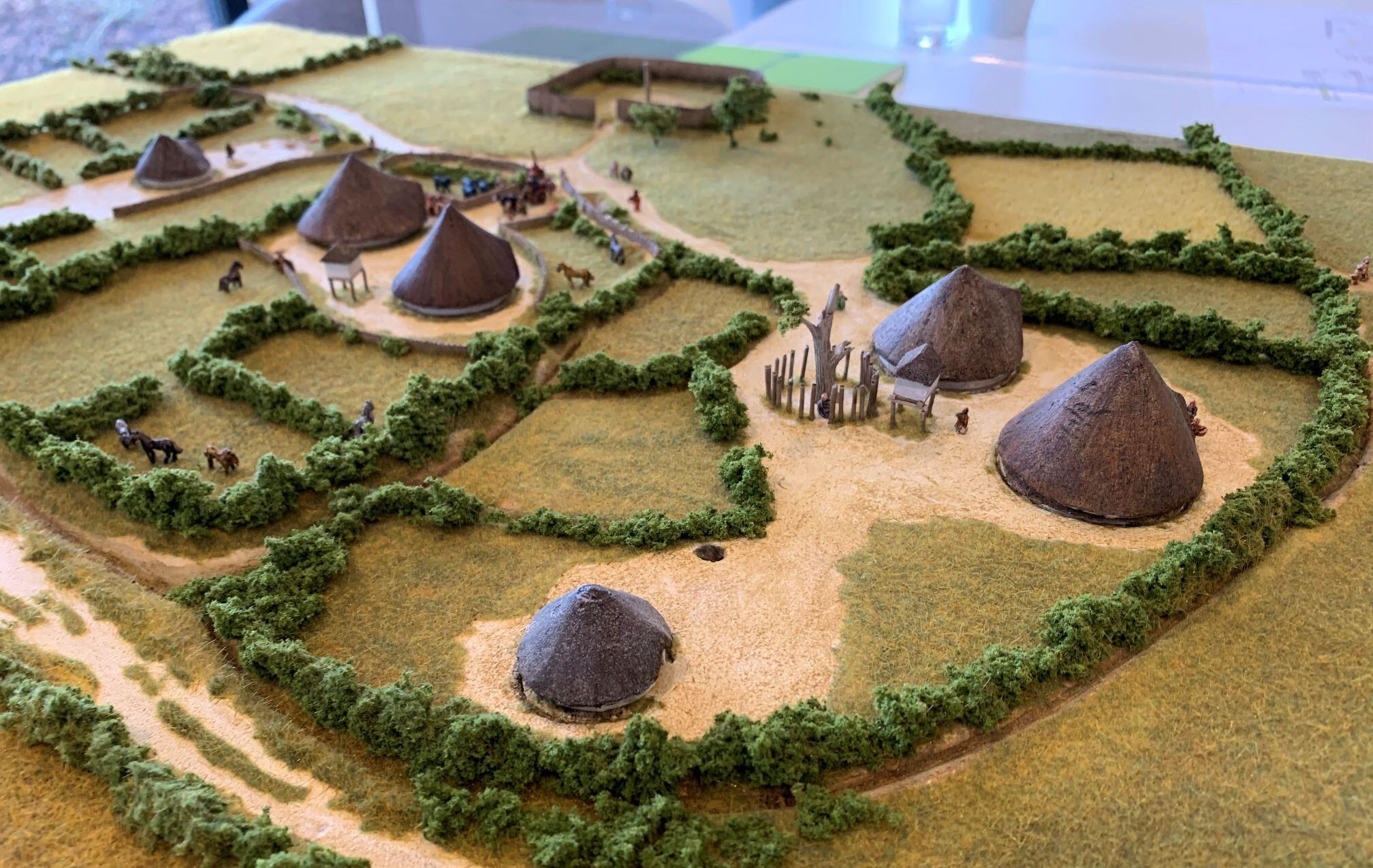 A photograph of a model showing the arrangement of the iron age settlement at Wintringham. © BMD