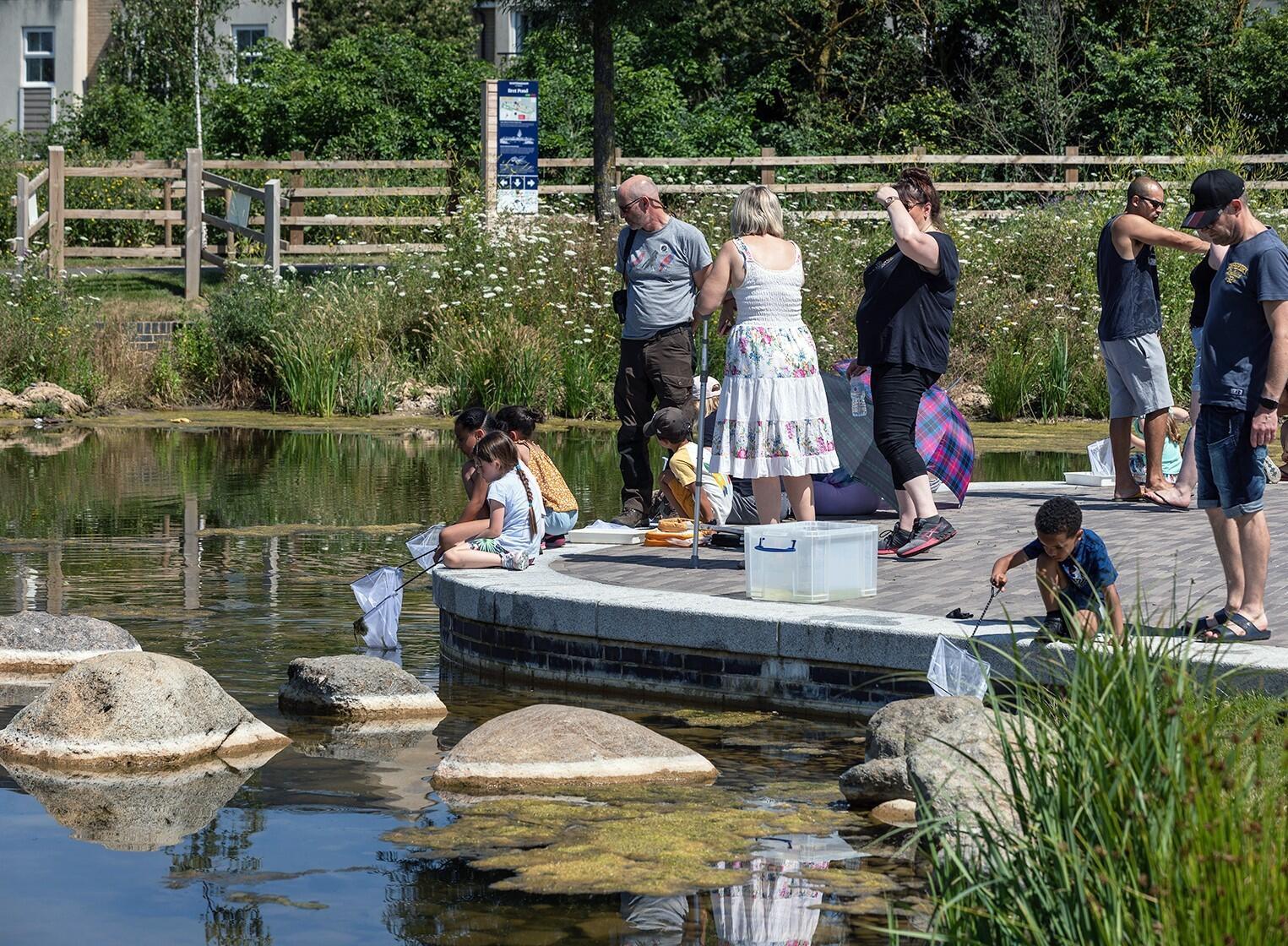 A photograph of a community pond dipping event with Mike Dilger at Wintringham Phase 1. © U&C