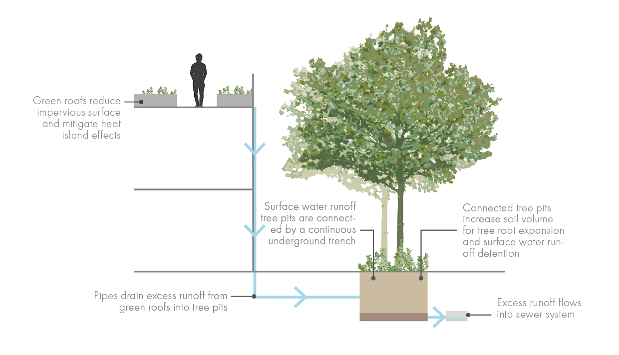 A detailed diagram illustrating the water cycle through proposed SuDS features at Thornhill Park. © BMD