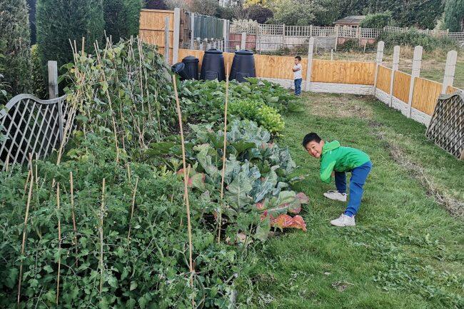 Two children, one looking at the camera, standing in allotment gardens