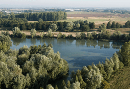 A photograph taken from a drone showing existing Waterbeach lake surrounded by mature trees.