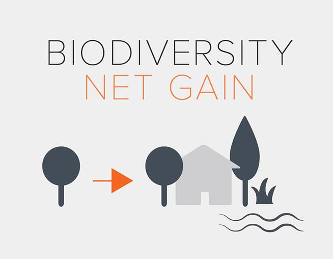 Biodiversity net-gain title followed by images of trees, house and water highlighting how integrating biodiversity works