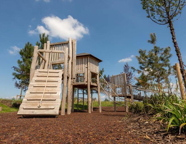 Several tree house like buildings set in a landscaped park