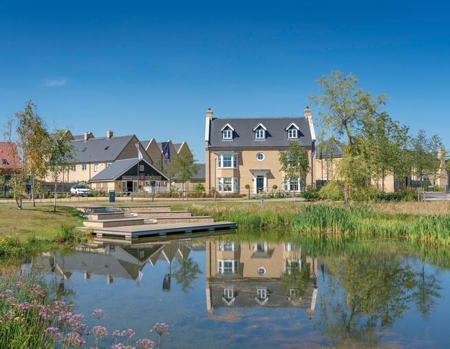 A photograph of the showhomes at Alconbury Weald fronting on to the gateway pond with wetland planting and boardwalk platform. © BMD