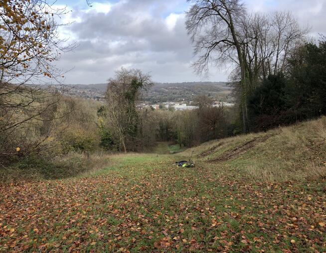 A photograph of a clearing at Deangarden wood, High Wycombe