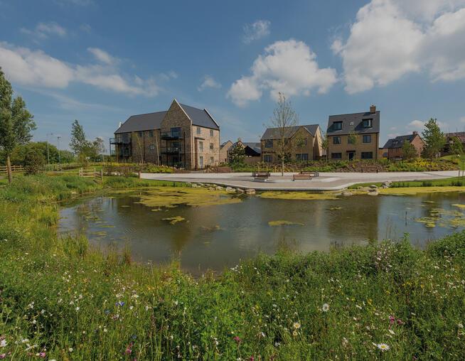 A photograph of Bret Pond at Wintringham Key Phase 1